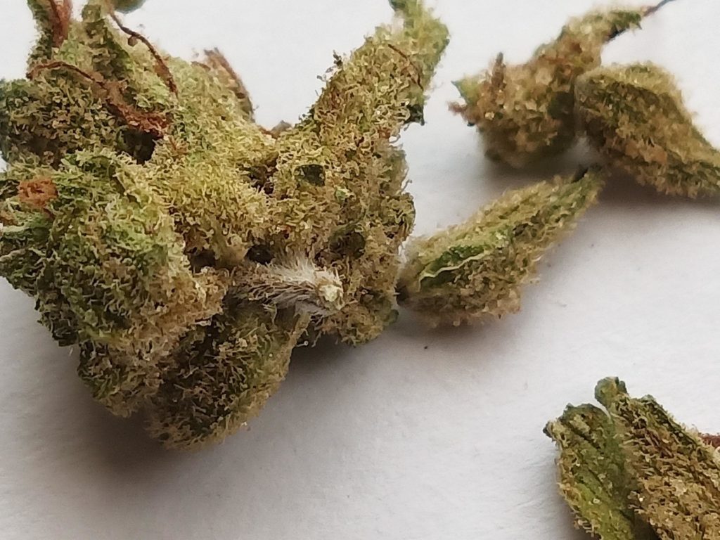 order medical marijuana online - cannabis weed delivery