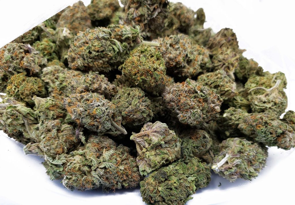 bowl of cannabis marijuana weed bud
