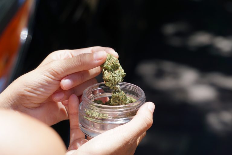 medical marijuana cannabis in louisiana - jar in hand