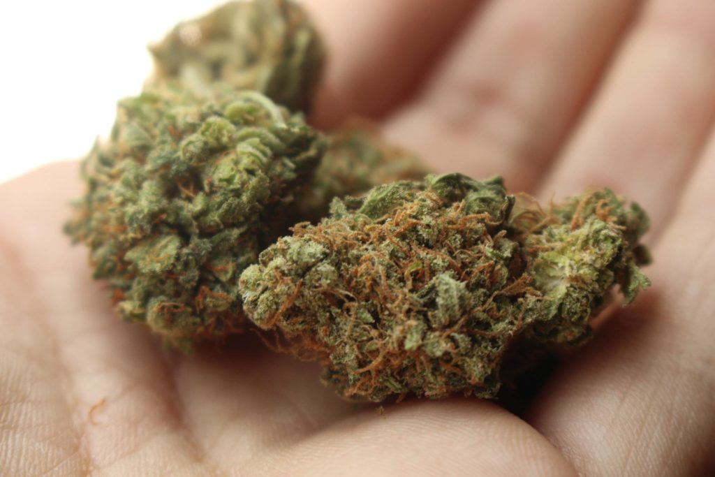 medical marijuana cannabis weed in louisiana